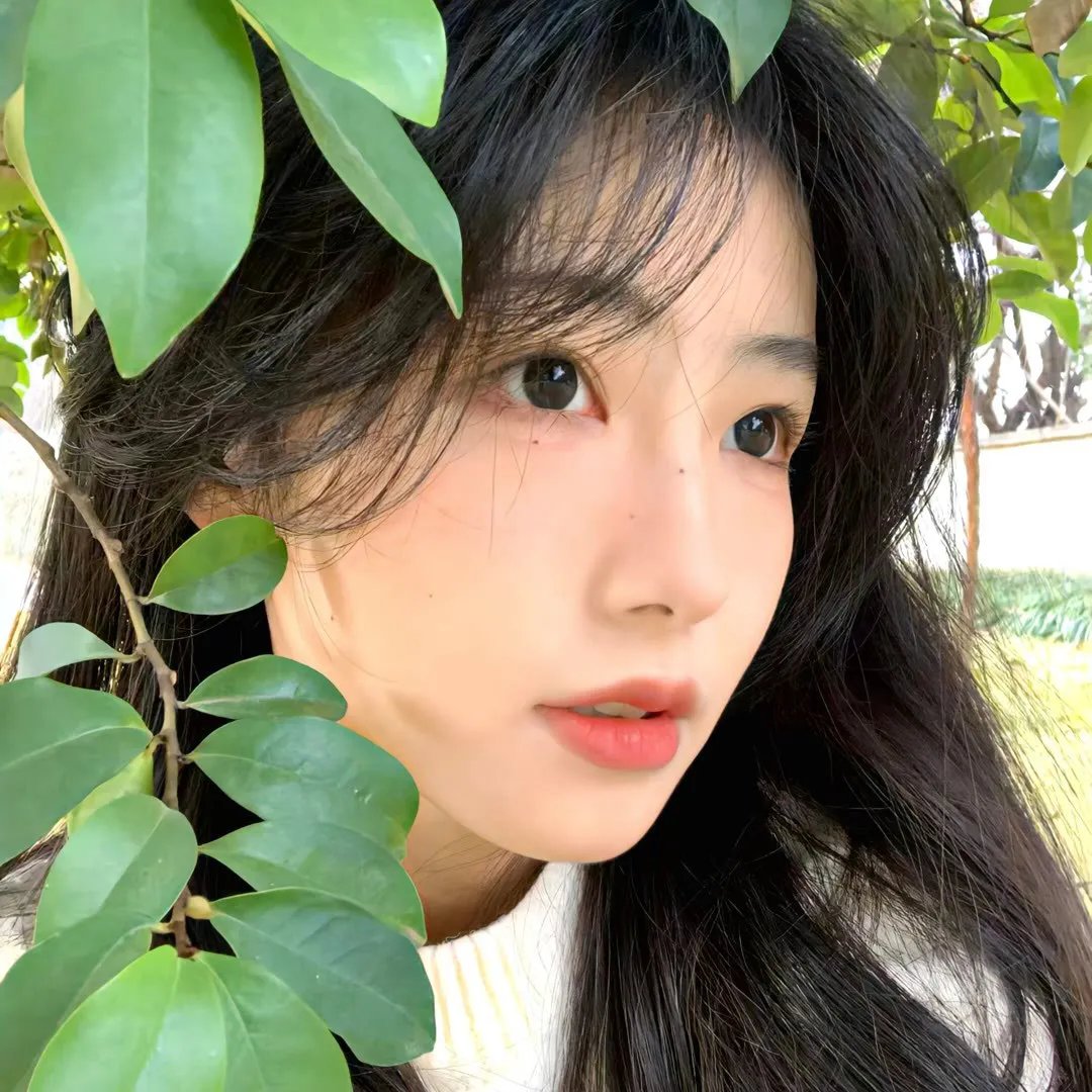 我亲爱的妖怪女友